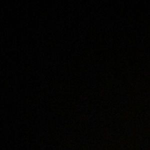 Meet your Posher, Chase